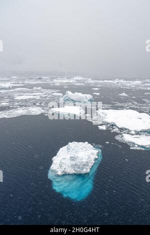 Drift Eis und kleine Eisberge bei Schneefall. Südlicher Ozean, Antarktis Stockfoto