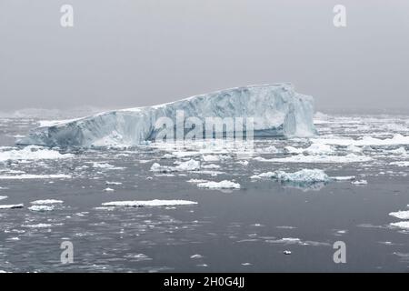 Drift Eis und Eisberge bei Schneefall. Südlicher Ozean, Antarktis Stockfoto