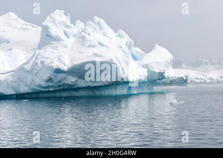 Schmelzender Eisberg, der im Meer schwimmt. Paradise Harbour, Grahamland, Antarktis Stockfoto