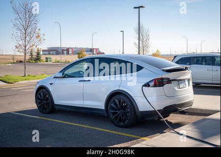 Medicine hat, Alberta - 8. Oktober 2019: Das Tesla Model X Elektroauto wird an einer charing-Station des Hotels aufgeladen. Stockfoto