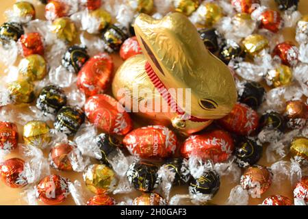 Der legendäre Lindt Chocolate Bunny, umhüllt von Goldfolie mit markantem roten Kragen und Glocke, umgeben von Mini-Schokolade-Ostereiern und Lindor-Kugeln Stockfoto