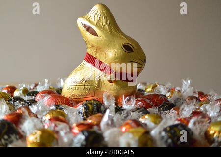 Der legendäre Lindt Chocolate Bunny, umhüllt von Goldfolie mit markantem roten Kragen und Glocke, umgeben von Lindor Schokoladenkugeln zu Ostern Stockfoto