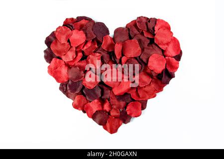 Rotes Blütenblatt Herz auf einfarbigem Hintergrund Stockfoto
