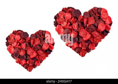 Rotes Blütenblatt Herz auf einfarbigem Hintergrund Stockfoto