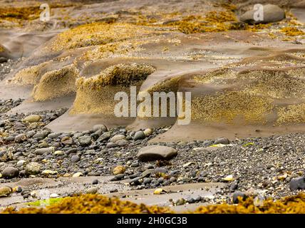 Felsmuster an der Küste - Story's Beach - Port Hardy, Vancouver Island, British Columbia, Kanada Stockfoto