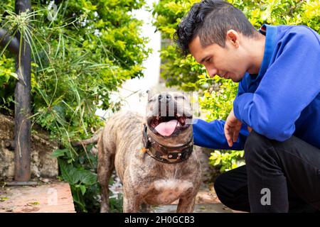 Der Hund genießt es sehr, von seinem Besitzer gestreichelt zu werden. Mann, der seinem Haustier Liebe schenkt. Netter und lächelnder Hund. Stockfoto