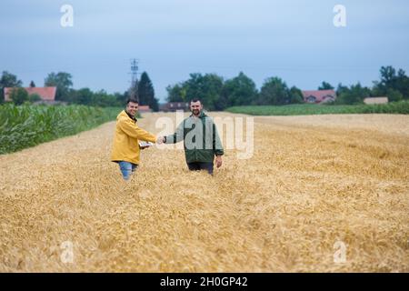 Zwei zufriedene Bauern schüttelten sich im Frühsommer im Weizenfeld die Hände Stockfoto