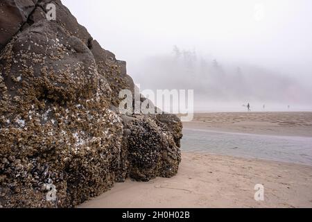 Indian Beach in Oregon, USA Stockfoto