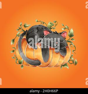 Aquarell halloween schwarz Katze schlafen Kürbis Vektor-Design Illustration Stock Vektor