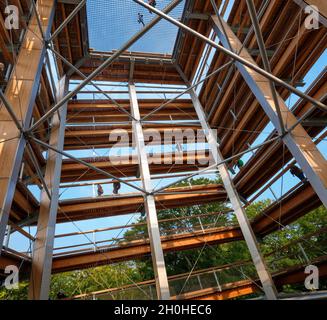 Aussichtsturm, Usedom Baumwipfel, Heringsdorf, Insel Usedom, Mecklenburg-Vorpommern, Deutschland Stockfoto