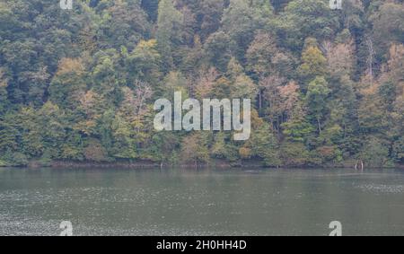 Sutton Lake im Bee Run Recreation Area von Sutton, West Virginia Stockfoto