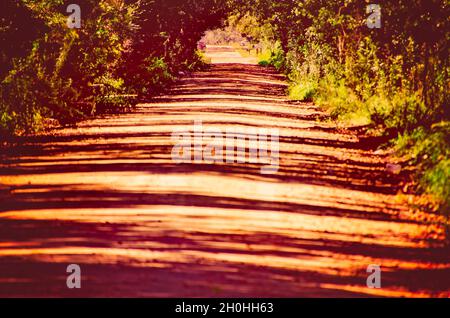 Eine rote Schotterstraße ist am 9. Oktober 2021 in Irvington, Alabama, abgebildet. Irvington ist eine nicht eingegliederte Gemeinde am Highway 90 in Alabama. Stockfoto