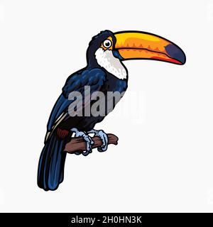 Toucan Vogel Vektor Illustration Cartoon Stock Vektor