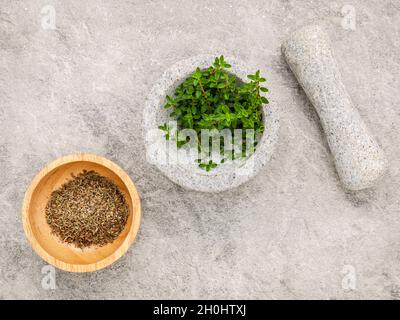 Closeup Zitronenthymian Blätter aus dem Kräutergarten in Weiß Mörser und Stößel auf steinernen Tisch gesetzt. Thymus praecox (Zitronenthymian oder Zitrus Thymian) sp Stockfoto