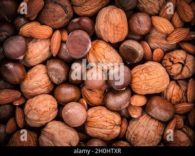 Aus verschiedenen Arten von Nüssen in Muscheln, cashew-, Mandel-, Walnuss, Haselnuss, Pistazie, Haselnuss, Pecan und macadamia Hintergrund. Stockfoto