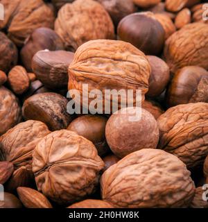 Verschiedene Arten von Nüssen in Schalen, Cashew, Mandel, Walnuss, Haselnuss, Pistazien, Haselnüsse, Pecan und Macadamia. Stockfoto