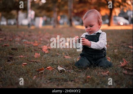 Niedlicher kleiner Junge kniet auf dem Gras in einem Park Stockfoto