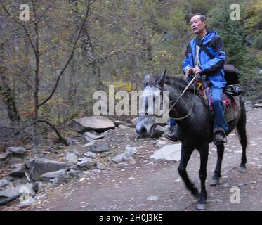 (211013) -- CHENGDU, 13. Oktober 2021 (Xinhua) -- das am 27. Oktober 2014 aufgenommene Aktenfoto zeigt Yin Kaipu auf einem Pferd während einer wissenschaftlichen Forschung im Bezirk Maoxian, südwestlich der chinesischen Provinz Sichuan. Yin, ein 78-jähriger, renommierter Ökologe in China, widmet sich seit mehr als sechs Jahrzehnten dem Schutz der biologischen Vielfalt. Nach seinem Schulabschluss im Jahr 1960 arbeitete Yin am Chengdu Institute of Biology der Chinesischen Akademie der Wissenschaften (CAS), wo er sich hauptsächlich mit der Erforschung und Erhaltung biologischer Ressourcen beschäftigte. Im Jahr 1978 schlug Yin vor, die Naturres Jiuzhaigou und Yading zu gründen Stockfoto