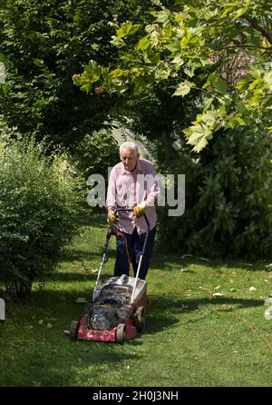 Senior Mann mäht Rasen im Park im Sommer Stockfoto