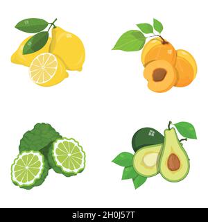 Tropical Fruits Set, Lebensmittel, Exotic Fruits Set, veganes Essen, verschiedene Früchte, Set von Bio-gesunde Lebensmittel, natürliche Geschenke der Natur, verschiedene natürliche und hea Stock Vektor