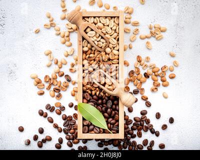 Grün und braun entkoffeiniert ungegeröstet und dunkel gerösteten Kaffeebohnen in Holzkiste mit Kugeln Setup auf weißem Beton Hintergrund. Stockfoto