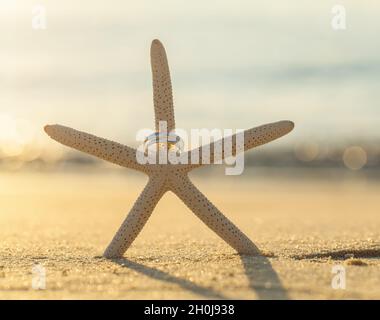 Trauringe stellen am Strand. Stockfoto