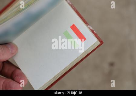 Eine Hand hält ein offenes Buch mit einer ungarischen Flagge darauf. Ein kleines Hardcover-Buch. Über die Schulter. Im Raum. Selektiver Fokus. Nahaufnahme. Stockfoto