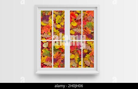 Kreatives Herbstkonzept mit Fenster und bunten Blättern. Stockfoto