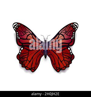Schöne blutrote detailgetreue Magie Schmetterling auf weiß Stock Vektor