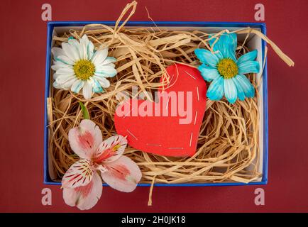Draufsicht auf bunte Gänseblümchen und rosa Alstroemeria mit einem Herz aus rotem Papier und Stroh in einer blauen Geschenk-Box auf rotem Hintergrund Stockfoto