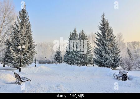 Wintermorgen im verschneiten Stadtpark bei Sonnenaufgang. Schnee und Reif bedeckten Tannenbäume entlang einer Gasse mit Laternen und Bänken - die Schönheit des urbanen Winters Stockfoto