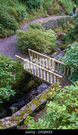 Eine Holzbrücke über einen Bach in Bodnant Gardens, Wales, Großbritannien Stockfoto