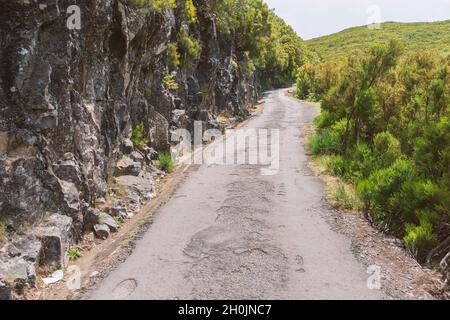 Alte Straße im Bergwald auf der Insel Madeira bei Tag Stockfoto