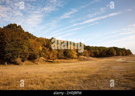 „der Geruch des Herbstes“ - Herbstfarben Landschaft Stockfoto