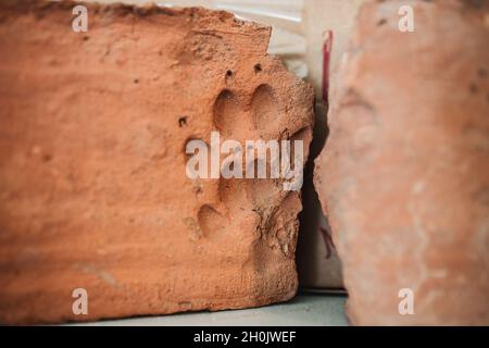 Antiker Ziegelstein aus einer archäologischen Expedition mit einer Spur eines Hundes darauf - Abdruck einer Hundepfote Stockfoto