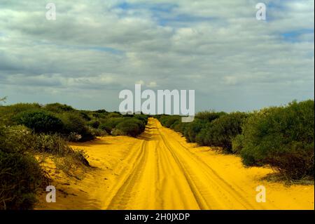 Staubstraße im Francois Peron National Park, Australien, Western Australia, Francois Peron National Park, Denham Stockfoto