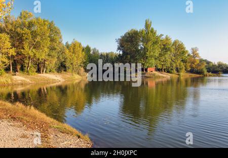 See Reflexion mit Baum in Sered, Slowakei Stockfoto
