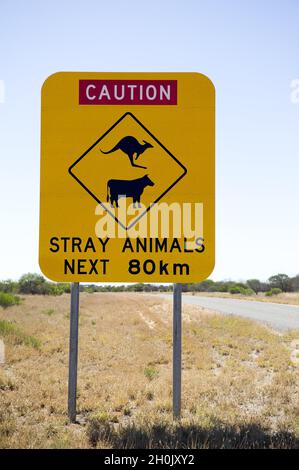 Gefahrenschild in Australien, streunende Tiere, Australien Stockfoto