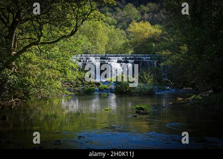 Der Fluss Wye fließt schnell über ein hohes Wehr, umgeben von Bäumen und Sträuchern in Monsal Dale, Derbyshire. Stockfoto