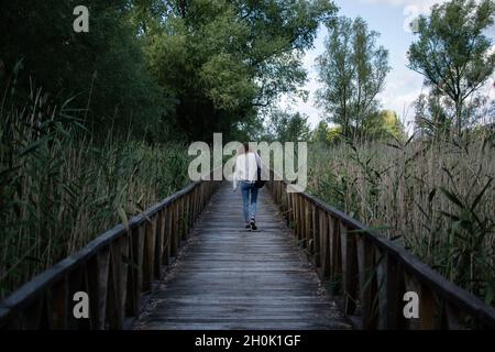 Nahaufnahme einer Frau, die in einer Holzbrücke im Kopacki rit Nationalpark in Kroatien spazierengeht Stockfoto