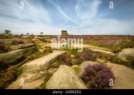 Derbyshire Landschaft zeigt Heidekraut in voller Blüte auf den Steinfelsen mit Chemtrails am blauen Himmel Stockfoto