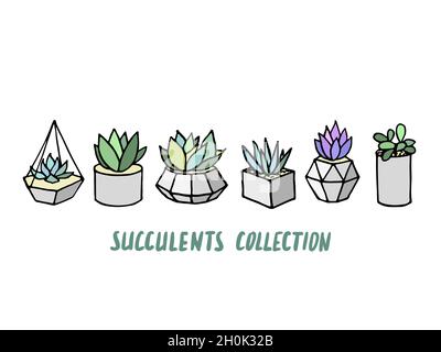 Set von Sukkulenten Kaktus Zimmerpflanzen in grauen Blumentöpfen. Vektorsymbole auf weißem Hintergrund Stock Vektor