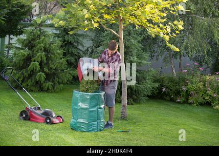 Gärtner leeren Mäher Korb voll von Stecklingen in Plastiksack im Garten. Rasenpflege-Konzept Stockfoto