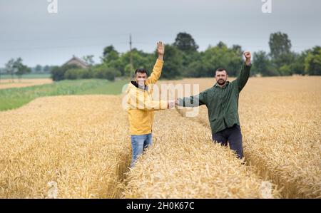 Zwei zufriedene Bauern schüttelten sich im Frühsommer im Weizenfeld die Hände Stockfoto