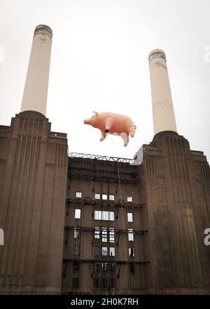 Ein riesiges aufblasbares Schwein fliegt über dem Battersea Power Station am Ufer der Themse im Zentrum von London, während einer Nachbildung des Covers des Pink Floyd Albums 'Animals' - das vor 35 Jahren veröffentlicht wurde - zur Feier der Veröffentlichung von 'Why Pink Floyd', Eine digital überarbeitete Box mit allen 14 Pink Floyd Studioalben. Stockfoto