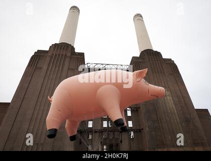 Ein riesiges aufblasbares Schwein fliegt über dem Battersea Power Station am Ufer der Themse im Zentrum von London, während einer Nachbildung des Covers des Pink Floyd Albums 'Animals' - das vor 35 Jahren veröffentlicht wurde - zur Feier der Veröffentlichung von 'Why Pink Floyd', Eine digital überarbeitete Box mit allen 14 Pink Floyd Studioalben. Stockfoto