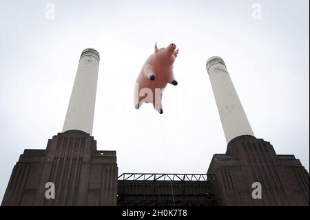 Ein riesiges aufblasbares Schwein fliegt über dem Battersea Power Station am Ufer der Themse im Zentrum von London, während einer Nachbildung des Covers des Pink Floyd Albums 'Animals' - das vor 35 Jahren veröffentlicht wurde - zur Feier der Veröffentlichung von 'Why Pink Floyd', Eine digital überarbeitete Box mit allen 14 Pink Floyd Studioalben. Stockfoto