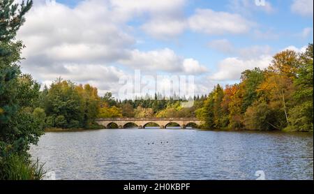 Fünf-Bogen-Brücke in der Royal Landscape of Virginia Water, Windsor Great Park, Surrey, Südostengland entworfen von Sir Jeffry Wyattville, im Herbst Stockfoto