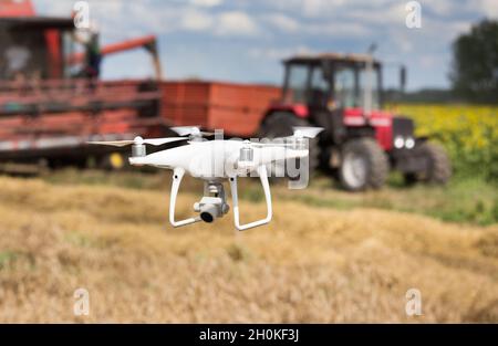 Drohne fliegt vor dem Traktor und Mähdrescher im Frühsommer auf dem Feld. Technologische Innovationen in der Landwirtschaft Stockfoto