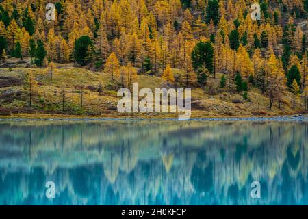 Akkem Tal in Altai Gebirge Naturpark Stockfoto